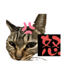 猫のすず＆ベル（個別スタンプ：14）