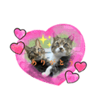 猫のすず＆ベル（個別スタンプ：23）