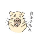 ていねいな動物たち（個別スタンプ：5）