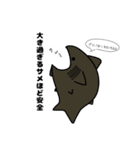 さめ学（個別スタンプ：5）