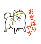 白犬たち（京風ふわふわ）（個別スタンプ：3）