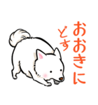 白犬たち（京風ふわふわ）（個別スタンプ：6）