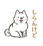 白犬たち（京風ふわふわ）（個別スタンプ：20）