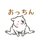 白犬たち（京風ふわふわ）（個別スタンプ：36）