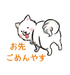 白犬たち（京風ふわふわ）（個別スタンプ：39）