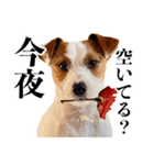 つぶの日スタンプ第2弾（個別スタンプ：1）