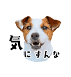 つぶの日スタンプ第2弾（個別スタンプ：7）