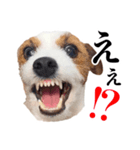 つぶの日スタンプ第2弾（個別スタンプ：8）