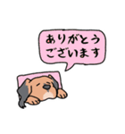 日常の愛犬大福2（個別スタンプ：2）