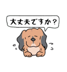 日常の愛犬大福2（個別スタンプ：16）