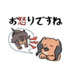 日常の愛犬大福2（個別スタンプ：26）