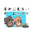 イベントの愛犬大福（個別スタンプ：19）