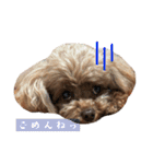 ここたろちゃん2(新)（個別スタンプ：4）
