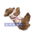 ここたろちゃん2(新)（個別スタンプ：12）