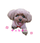 ここたろちゃん2(新)（個別スタンプ：14）