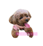 ここたろちゃん2(新)（個別スタンプ：20）