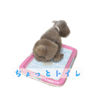 ここたろちゃん2(新)（個別スタンプ：28）