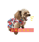 ここたろちゃん2(新)（個別スタンプ：32）
