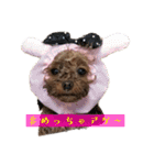 ここたろちゃん2(新)（個別スタンプ：33）