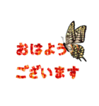 年中行事のご挨拶♪色々な動植物が彩る^_^（個別スタンプ：1）