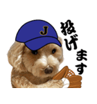 野球実況犬のマルちゃん(実写）（個別スタンプ：3）