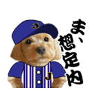 野球実況犬のマルちゃん(実写）（個別スタンプ：15）