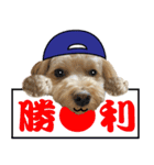 野球実況犬のマルちゃん(実写）（個別スタンプ：25）