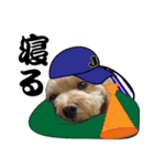 野球実況犬のマルちゃん(実写）（個別スタンプ：40）
