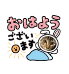 ぎんまるくんの日常①（個別スタンプ：1）