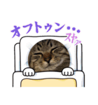 ぎんまるくんの日常①（個別スタンプ：3）