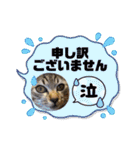 ぎんまるくんの日常①（個別スタンプ：4）