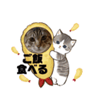 ぎんまるくんの日常①（個別スタンプ：5）