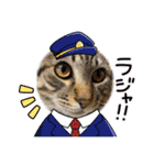 ぎんまるくんの日常①（個別スタンプ：12）