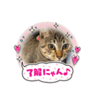 ぎんまるくんの日常①（個別スタンプ：13）