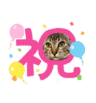 ぎんまるくんの日常①（個別スタンプ：18）