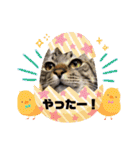 ぎんまるくんの日常①（個別スタンプ：20）