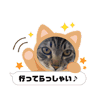 ぎんまるくんの日常①（個別スタンプ：25）