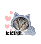 ぎんまるくんの日常①（個別スタンプ：27）