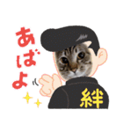 ぎんまるくんの日常①（個別スタンプ：33）