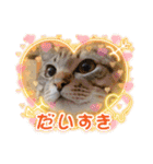 ぎんまるくんの日常①（個別スタンプ：40）