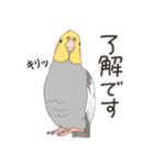 オカメインコさん。(ノーマル)2（個別スタンプ：3）