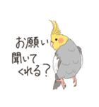 オカメインコさん。(ノーマル)2（個別スタンプ：22）