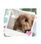 兎のモカちゃん（個別スタンプ：3）