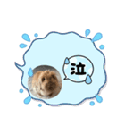 兎のモカちゃん（個別スタンプ：6）