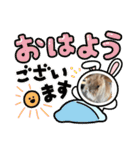兎のモカちゃん（個別スタンプ：12）