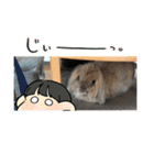 兎のモカちゃん（個別スタンプ：13）
