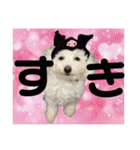 もぷ♡biglove（個別スタンプ：2）