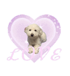 もぷ♡biglove（個別スタンプ：3）