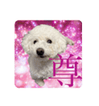 もぷ♡biglove（個別スタンプ：4）