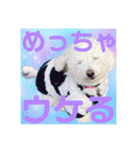 もぷ♡biglove（個別スタンプ：5）